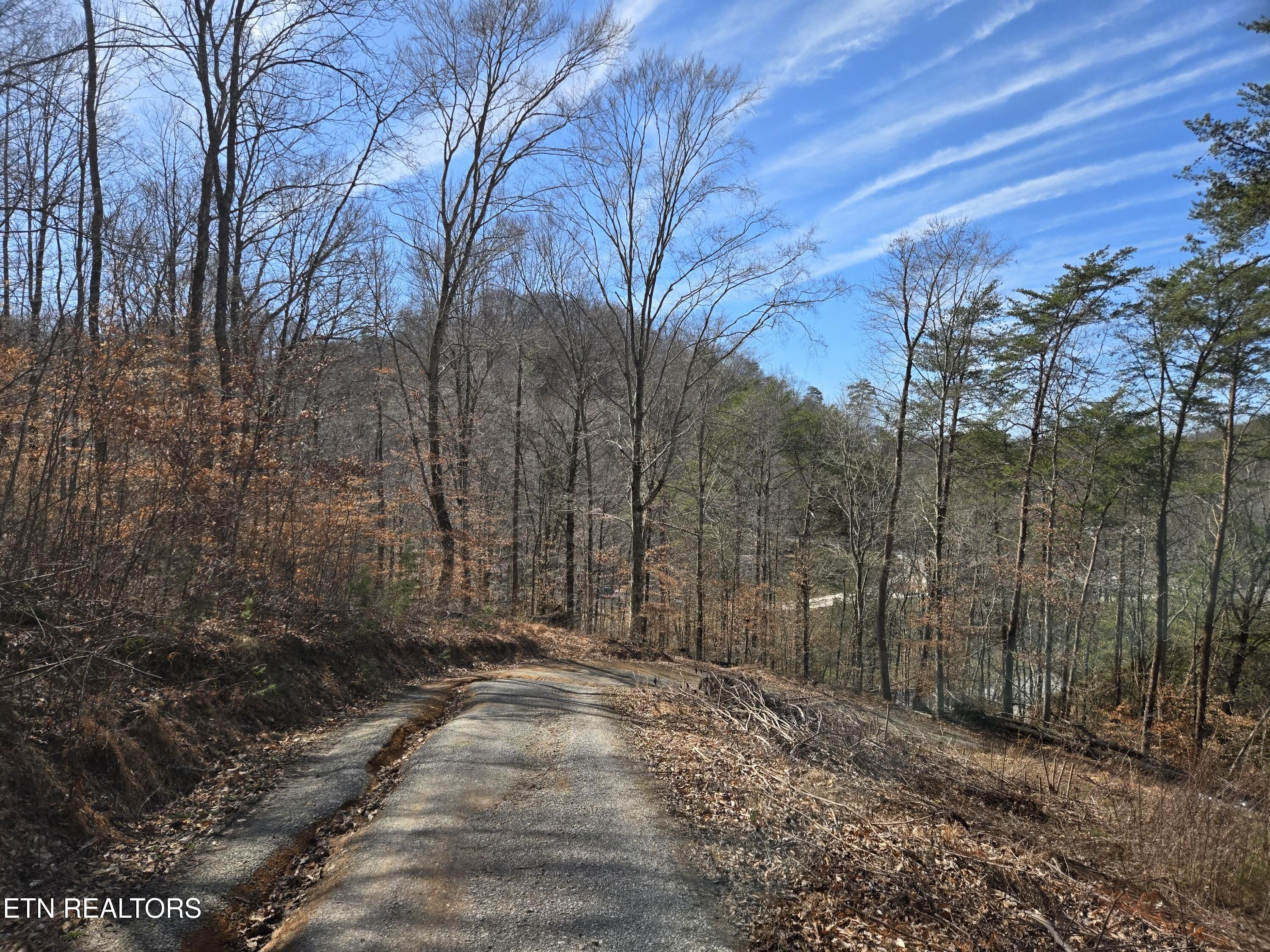 204 Archer Road Luttrell, TN 37779 - Photo 3 of 15 20260220_131051