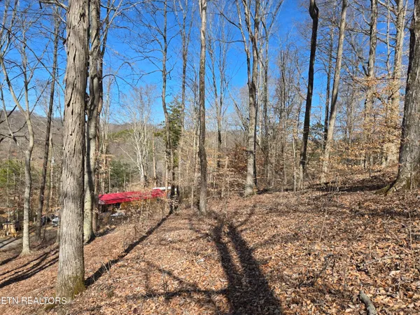 $110,000 | 204 Archer Road, Luttrell, TN 37779