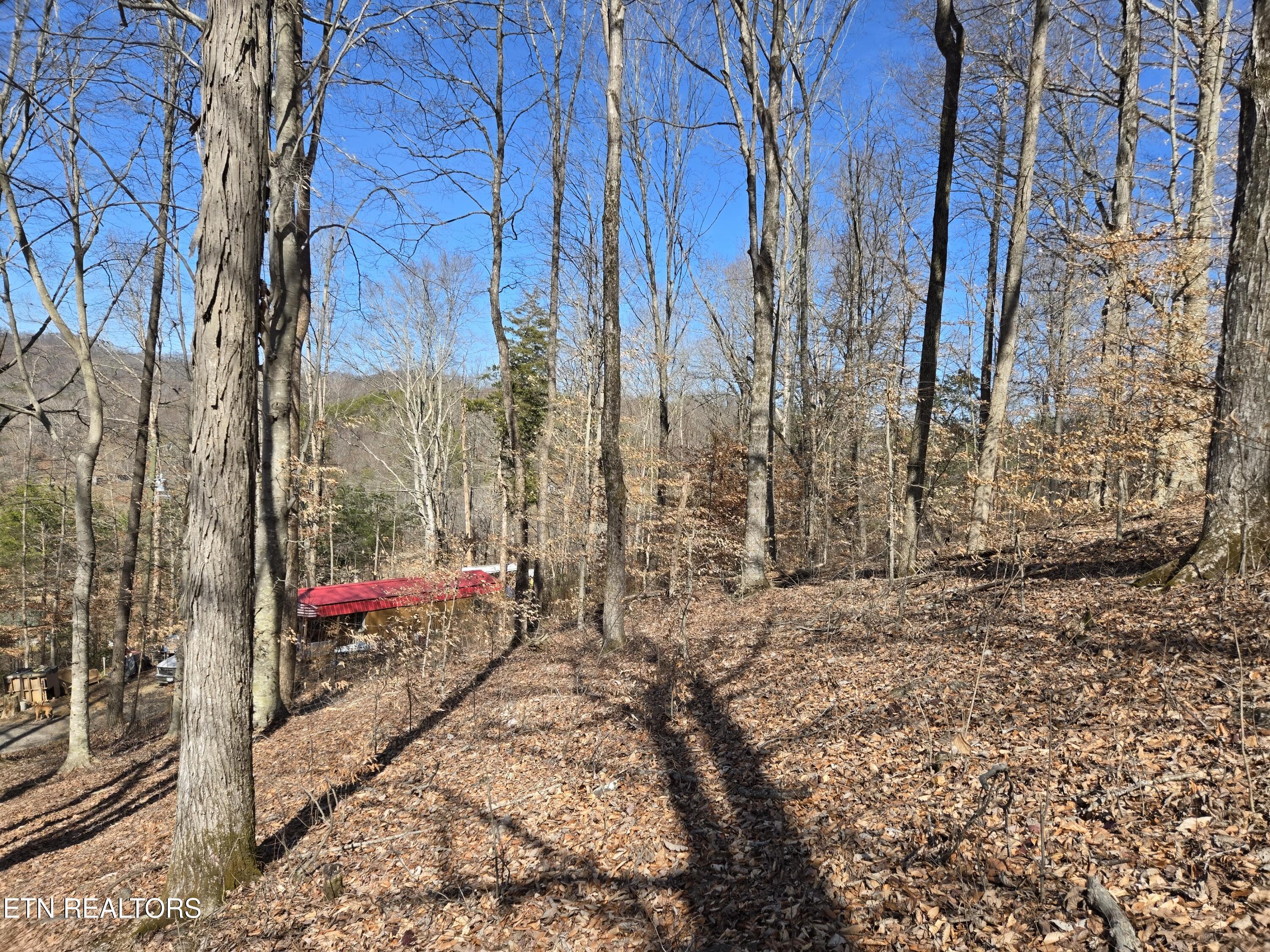 204 Archer Road Luttrell, TN 37779 - Photo 5 of 15 20260220_131157