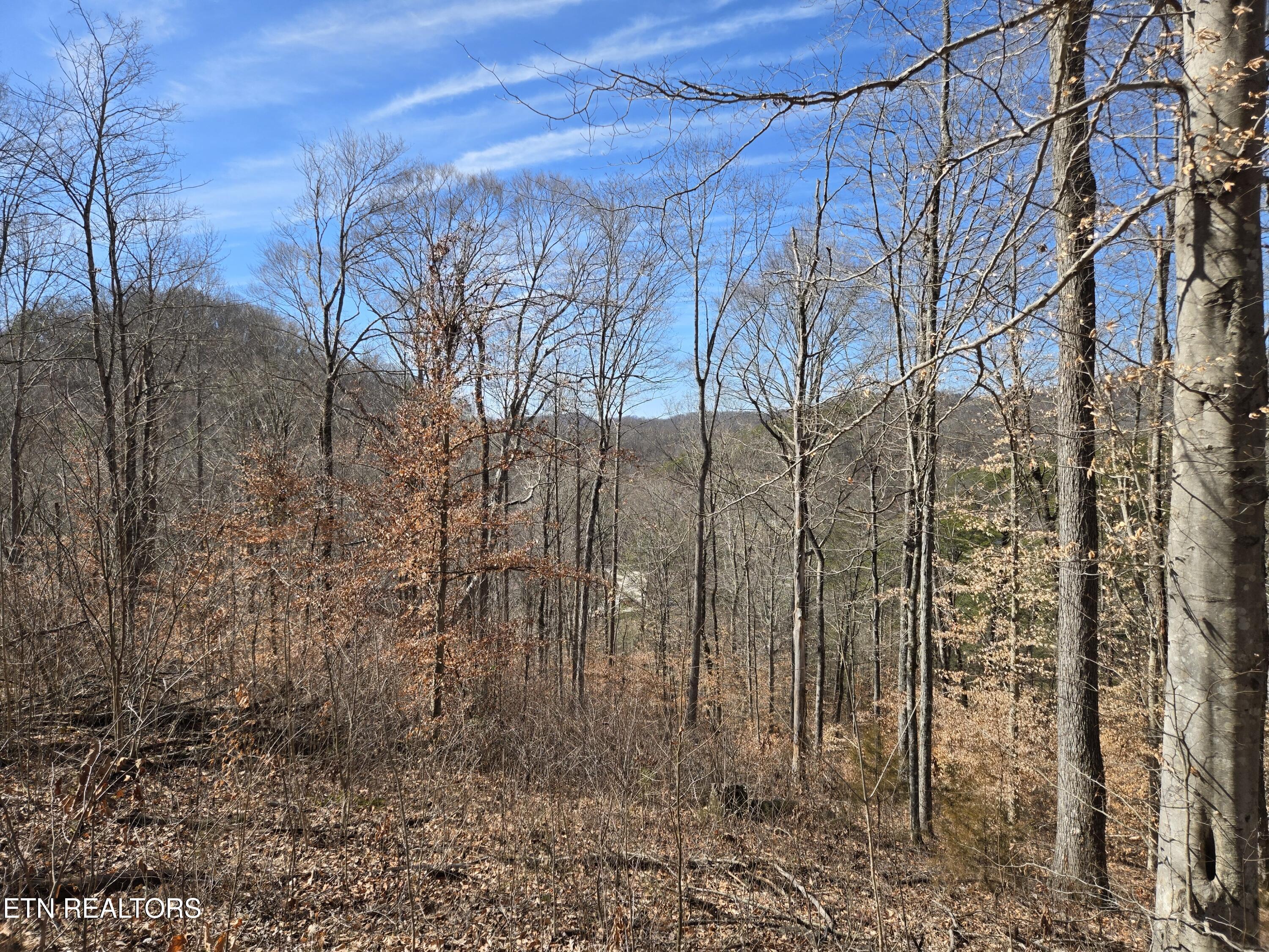 204 Archer Road Luttrell, TN 37779 - Photo 6 of 15 20260220_131213