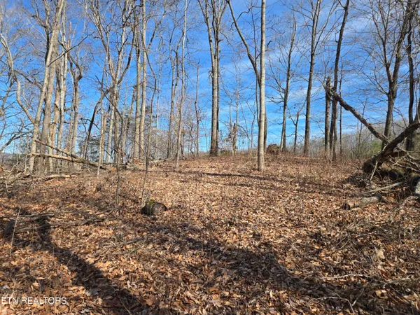 $110,000 | 204 Archer Road, Luttrell, TN 37779