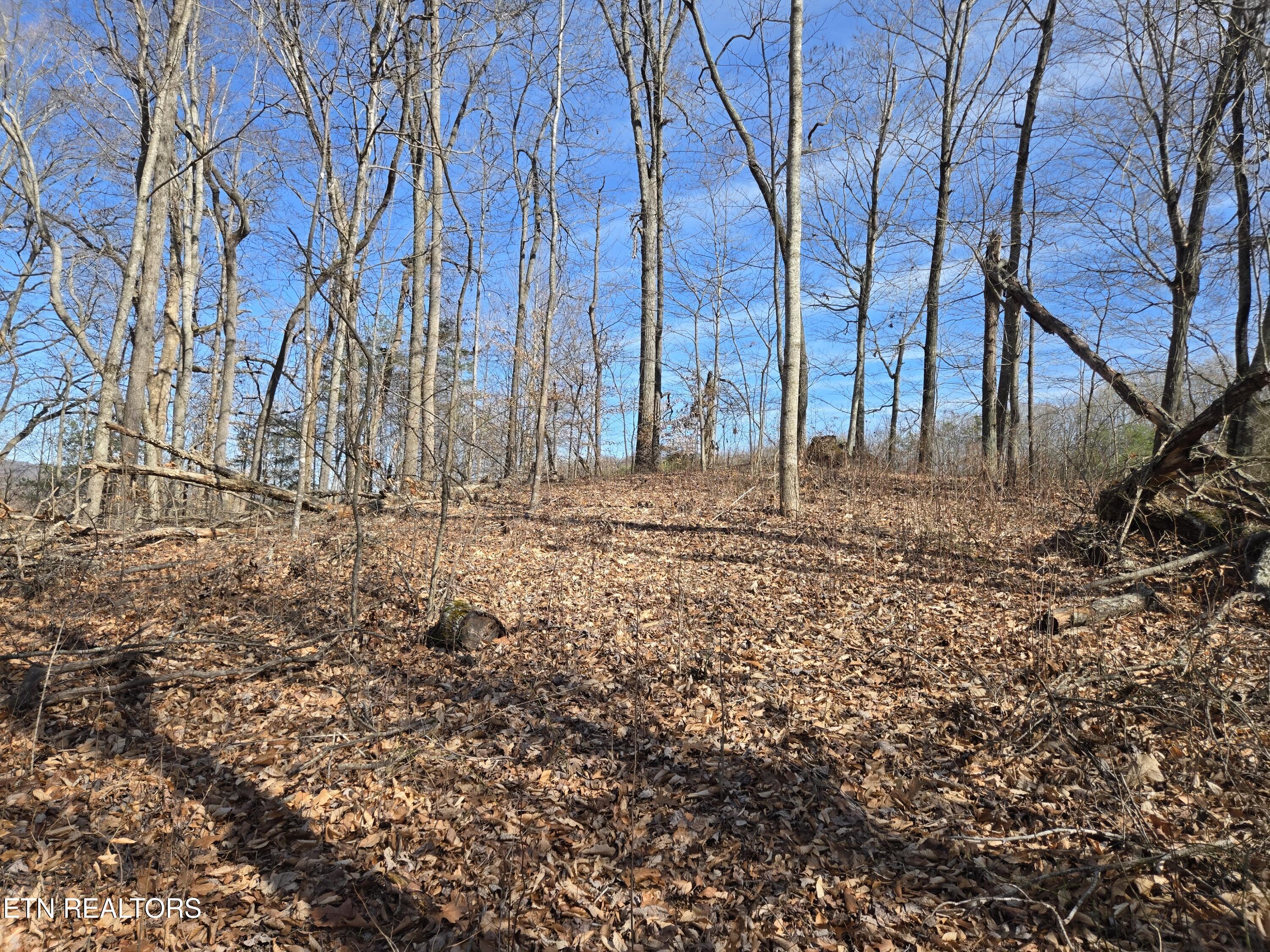 204 Archer Road Luttrell, TN 37779 - Photo 7 of 15 20260220_131310