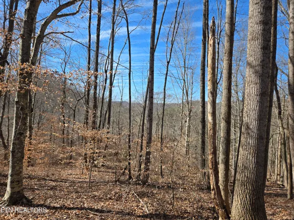 $110,000 | 204 Archer Road, Luttrell, TN 37779