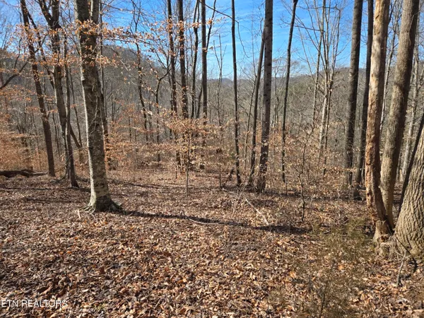 $110,000 | 204 Archer Road, Luttrell, TN 37779