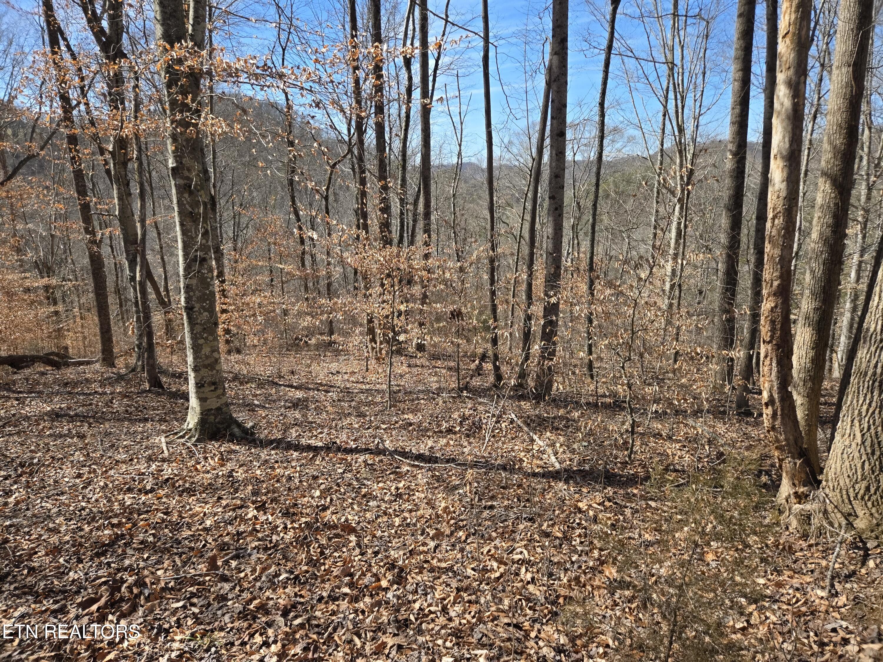 204 Archer Road Luttrell, TN 37779 - Photo 9 of 15 20260220_131318