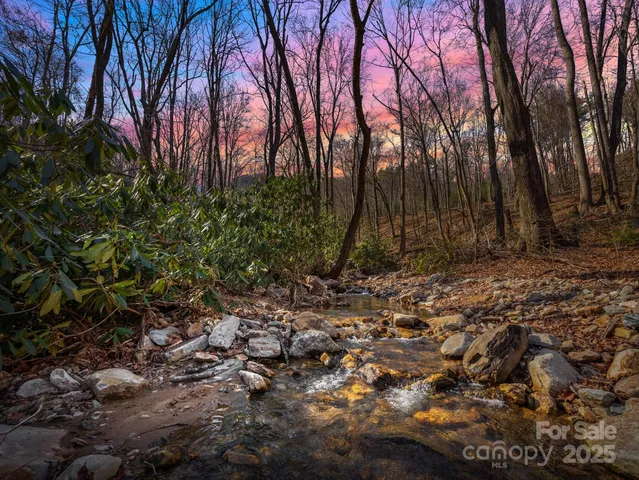 a view of backyard with green space