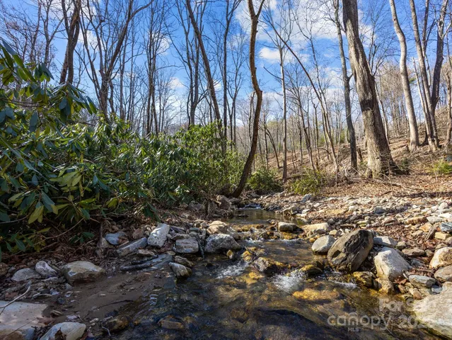 a view of a yard with large trees
