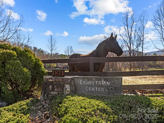 a view of a city with tall trees