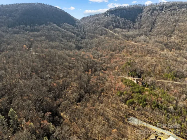 a view of a dry yard with green space