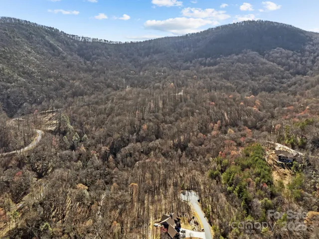 a view of house with green space