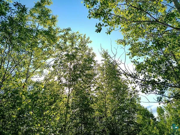 $89,000 | 2-xx Overlook Trail, Tofte, MN 55615