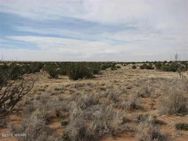 Lot 632 Chevelon Canyon Ranch Heber, AZ 85928 - Photo 1 of 1