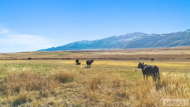 $12,500,000 | 30236 Highway 91, Swan Lake, ID 83281