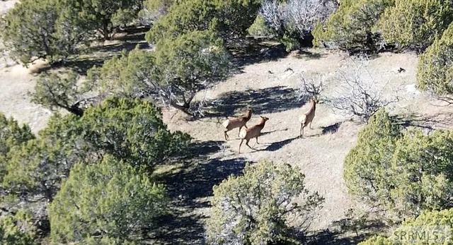 $12,500,000 | 30236 Highway 91, Swan Lake, ID 83281