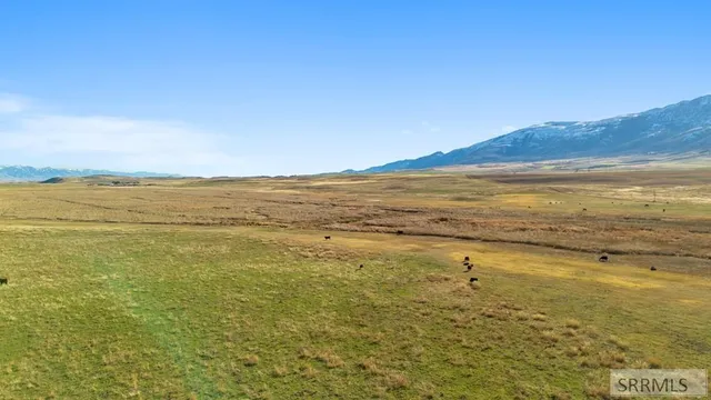 $12,500,000 | 30236 Highway 91, Swan Lake, ID 83281