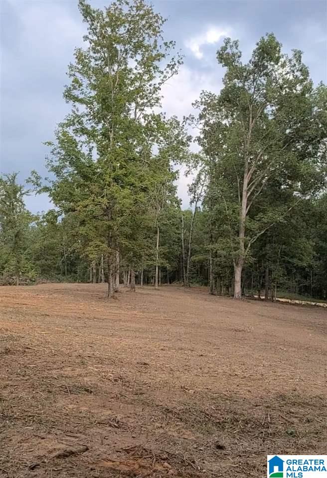 1363 Alston Farm Road, Unit 1 Columbiana, AL 35051 - Photo 1 of 4