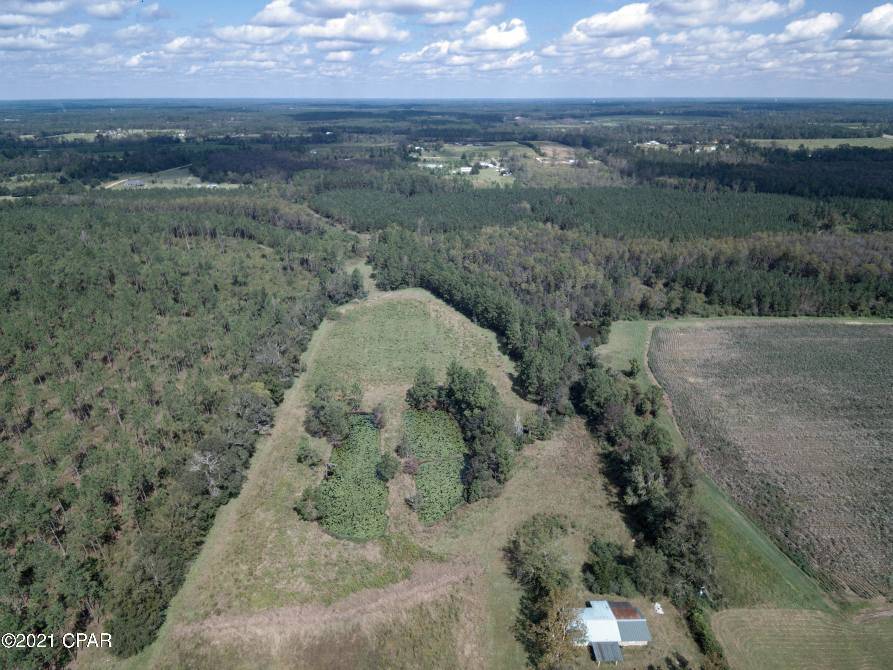 1734 Clayton Road Chipley, FL 32428 - Photo 7 of 29