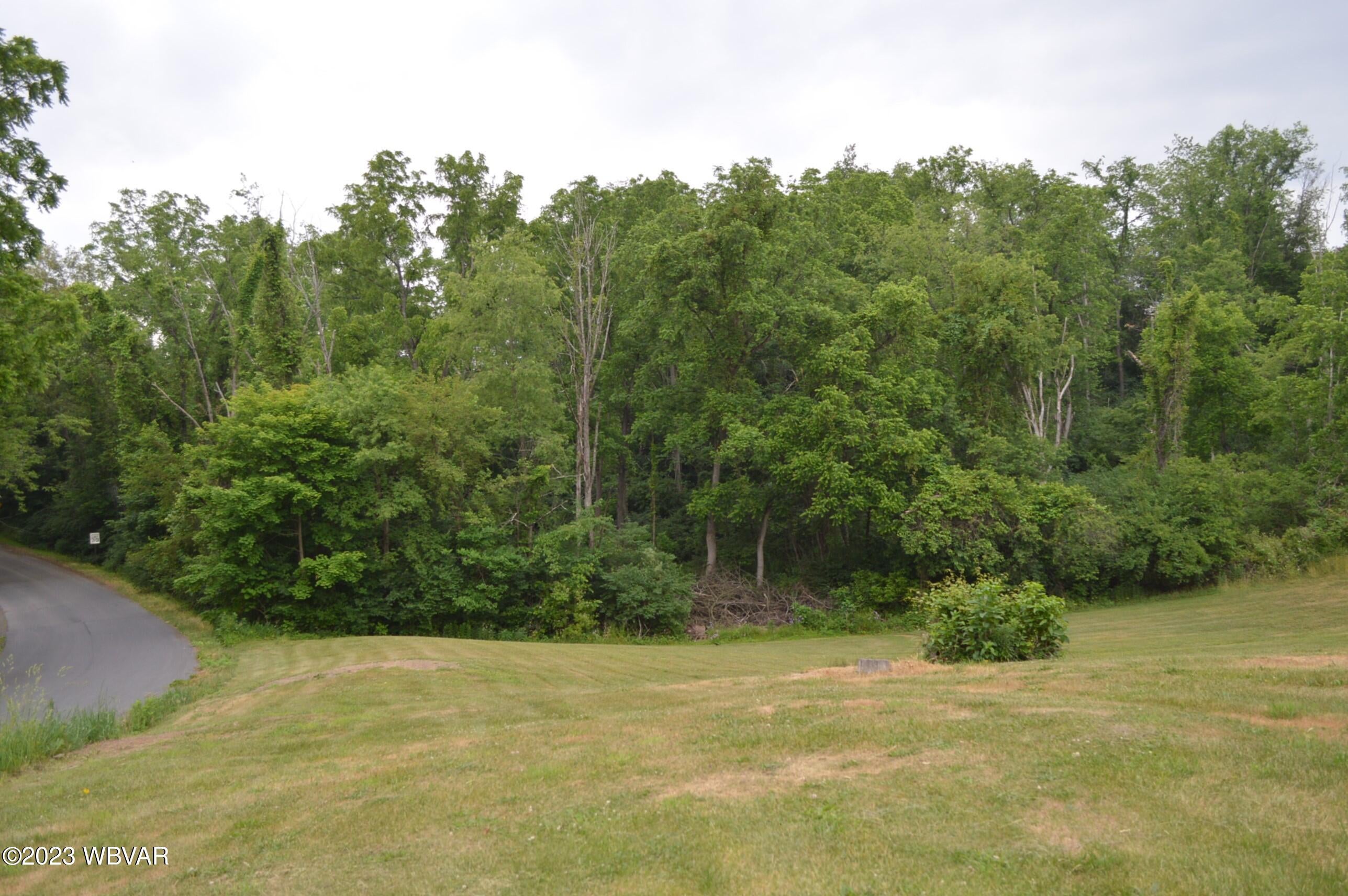 531 Martins Road Linden, PA 17744 - Photo 11 of 60 Gallery Image 11