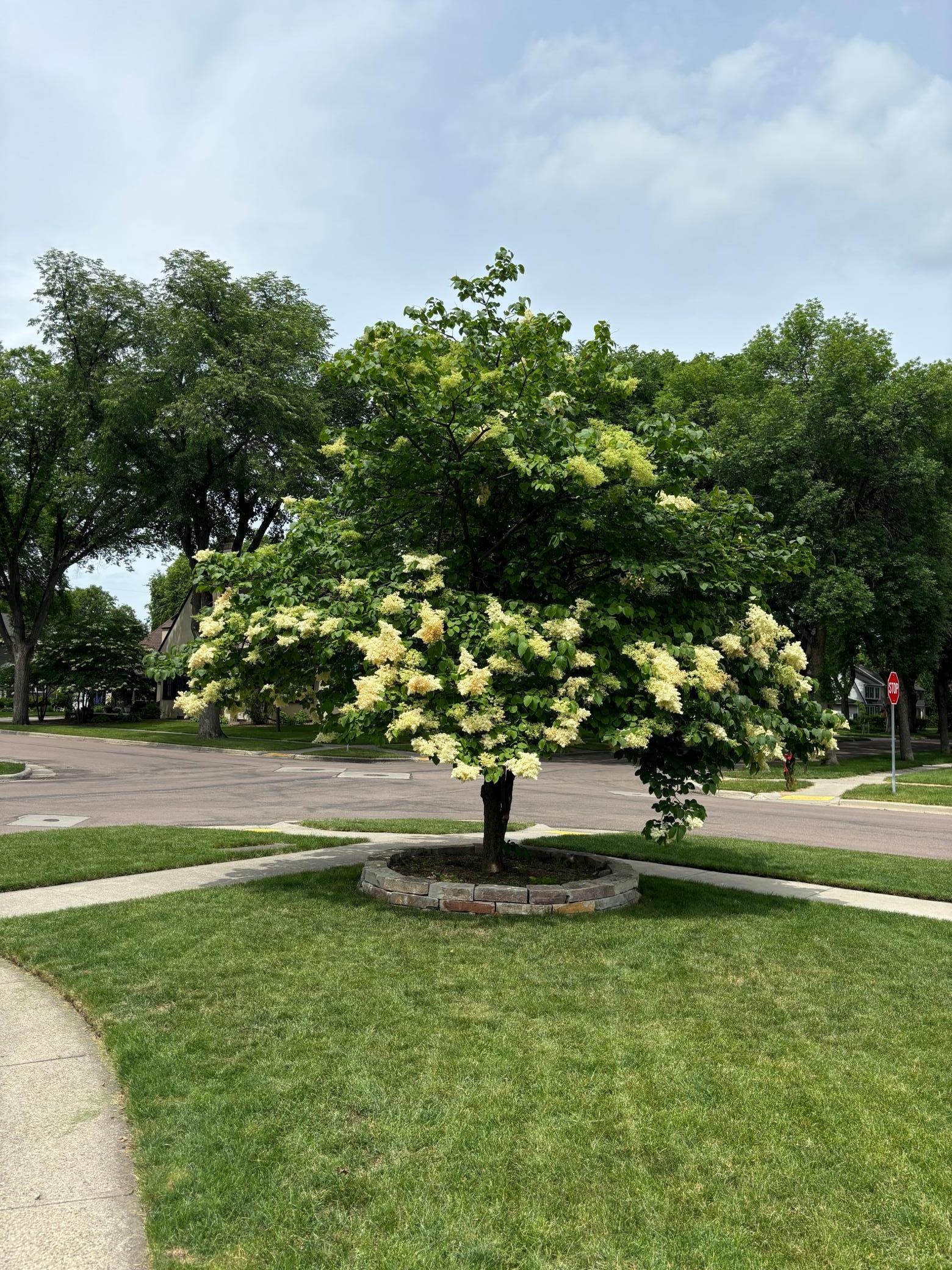 1502 8th Street South Fargo, ND 58103 - Photo 60 of 69