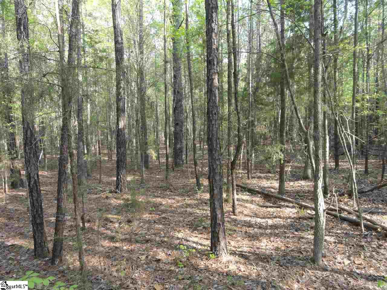 6864 Neely Ferry Road Laurens, SC 29360 - Photo 3 of 21