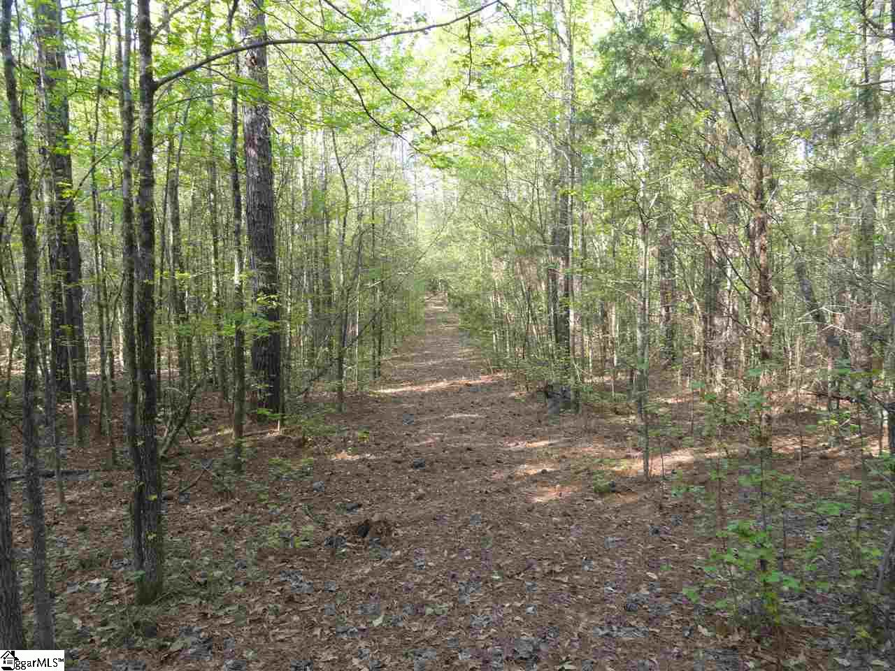 6864 Neely Ferry Road Laurens, SC 29360 - Photo 4 of 21