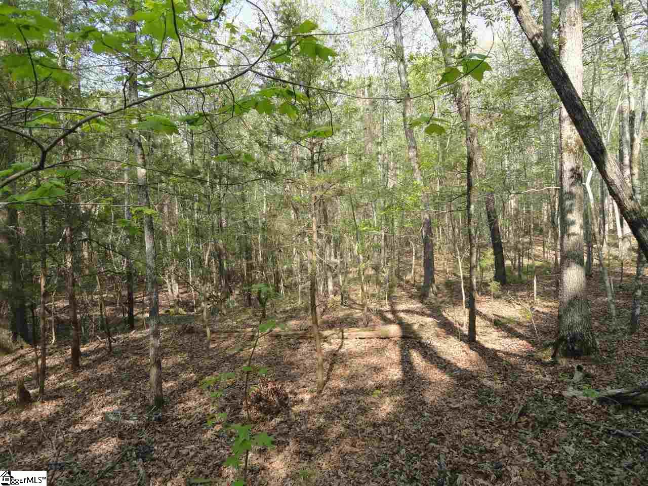 6864 Neely Ferry Road Laurens, SC 29360 - Photo 8 of 21