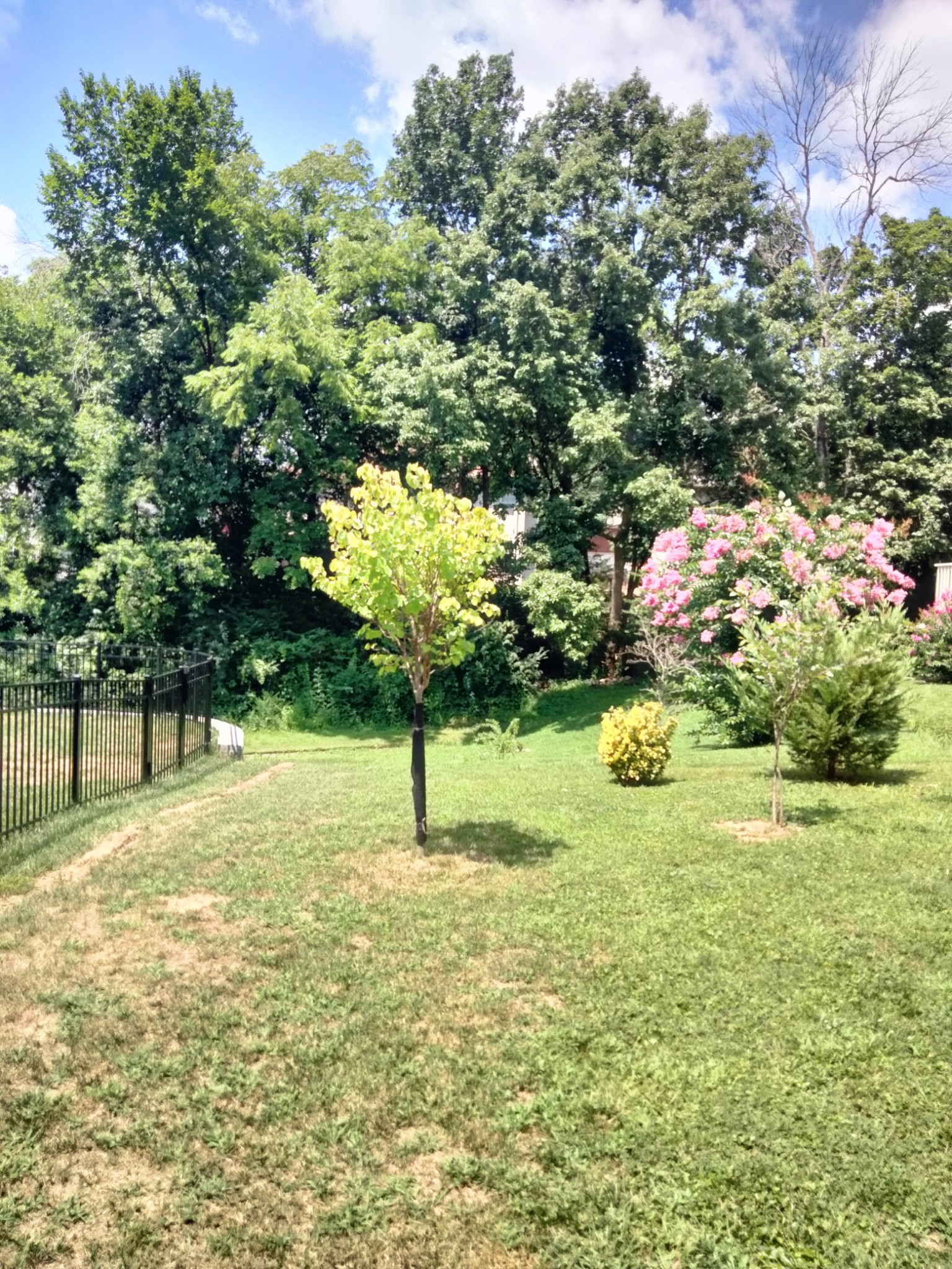 167 Holt Hills Road Nashville, TN 37211 - Photo 56 of 57