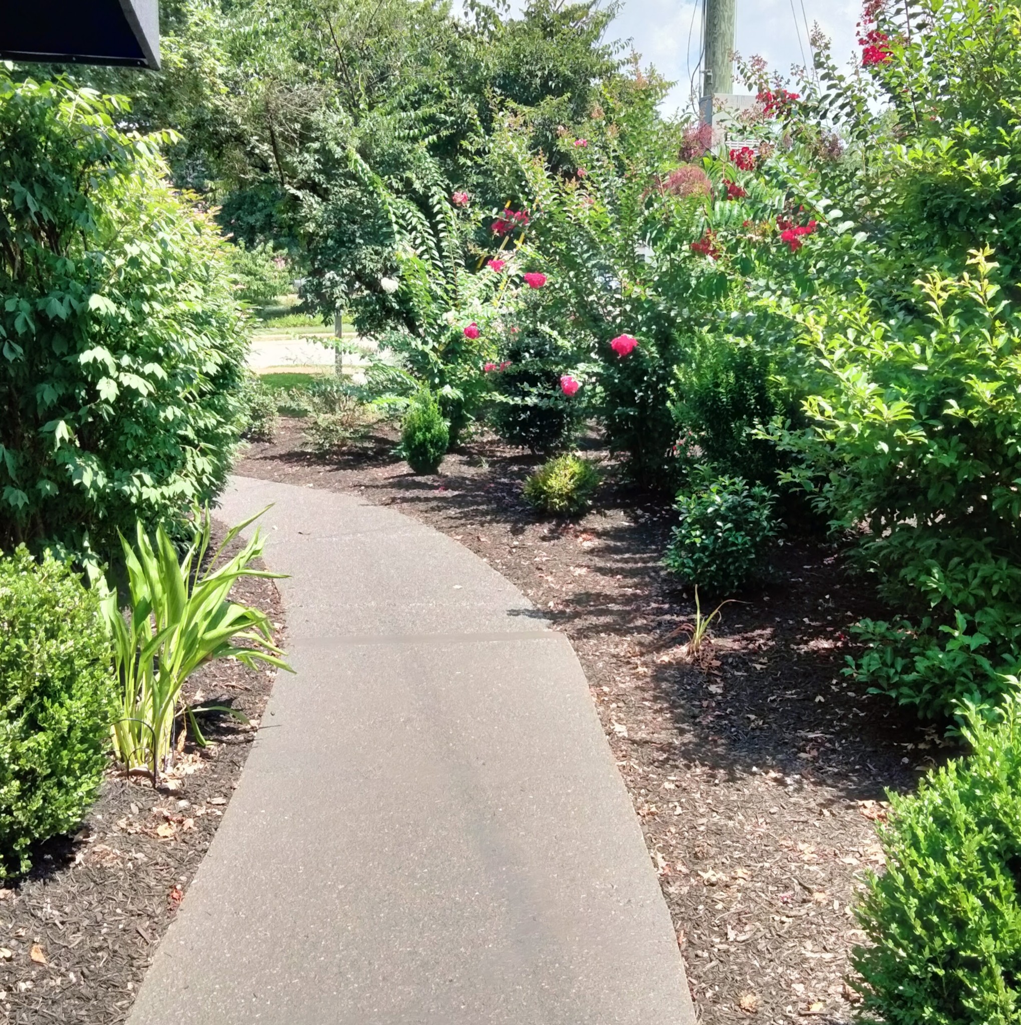 167 Holt Hills Road Nashville, TN 37211 - Photo 6 of 57