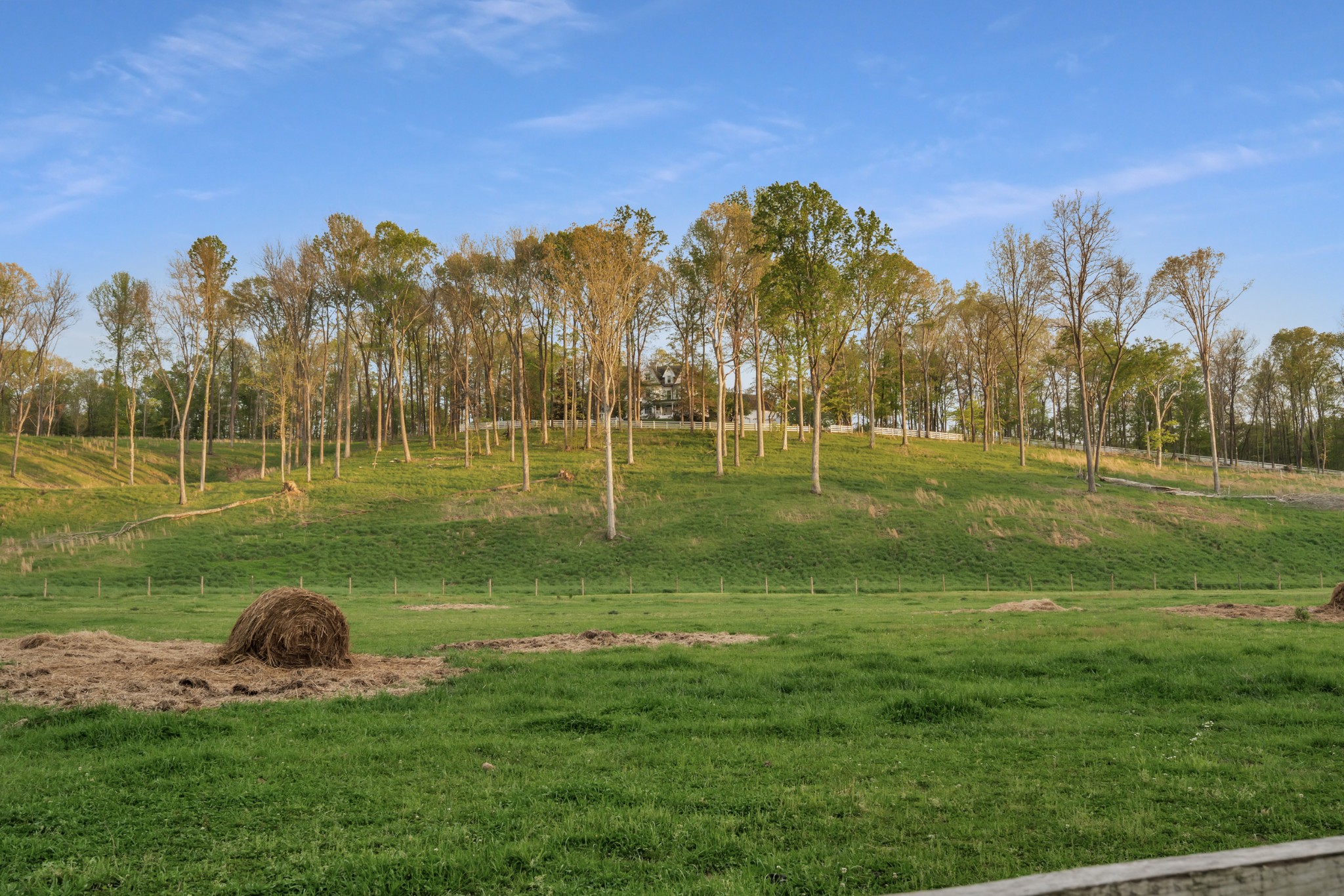 515 Cox Hollow Road Dover, TN 37058 - Photo 12 of 57 a view of a park