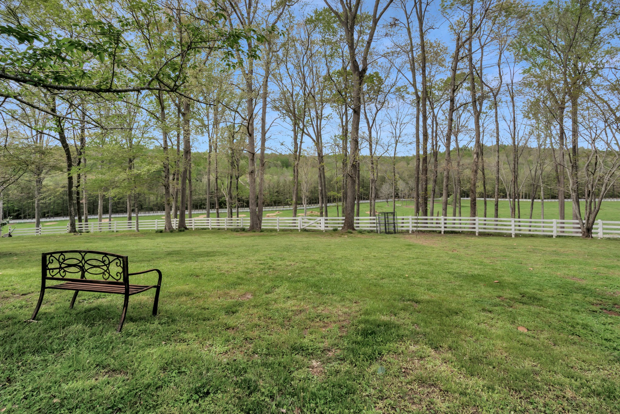 515 Cox Hollow Road Dover, TN 37058 - Photo 53 of 57 a view of a park with bench and trees