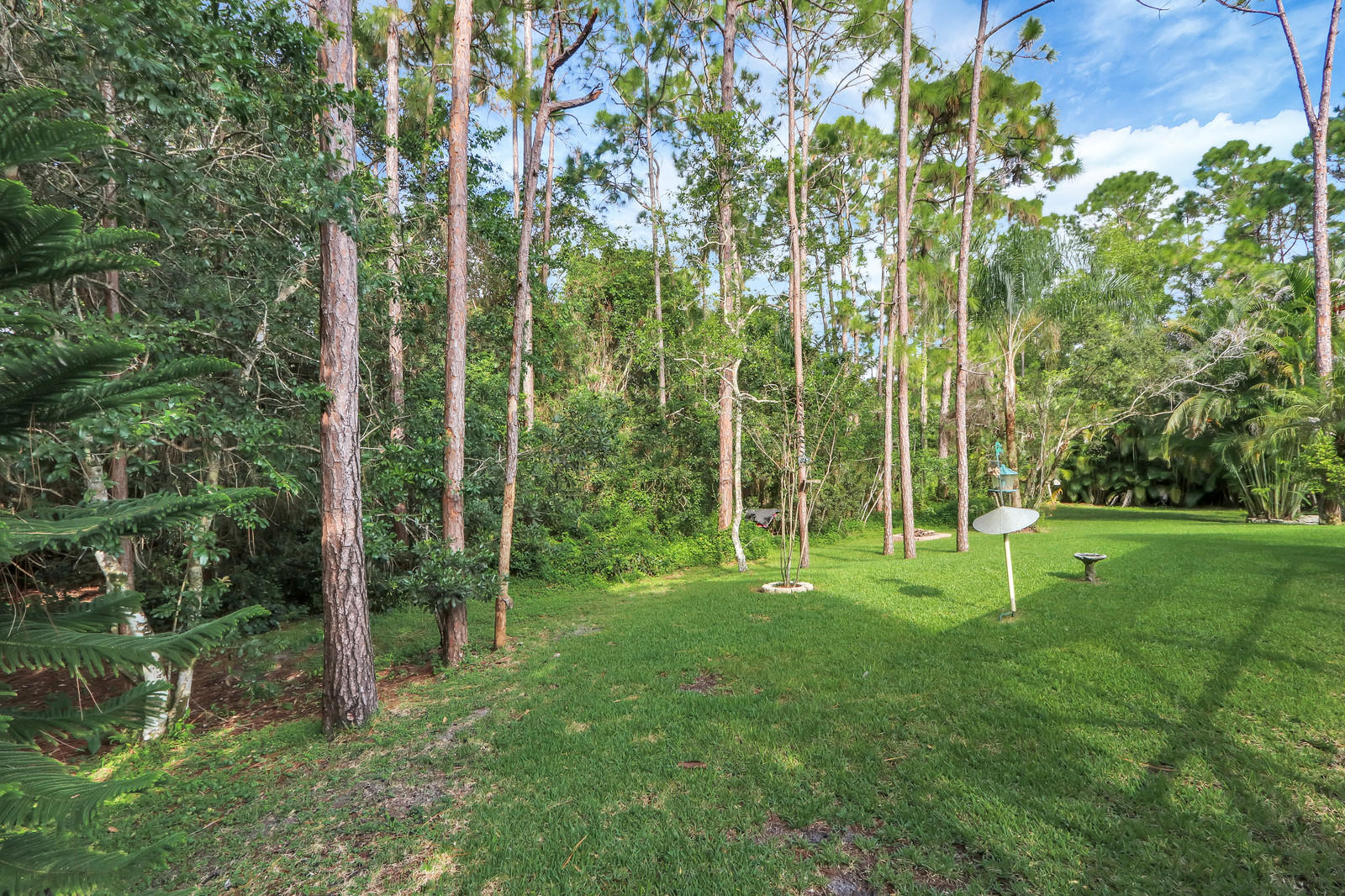 15359 Alexander Run Jupiter, FL 33478 - Photo 33 of 39 private back yard