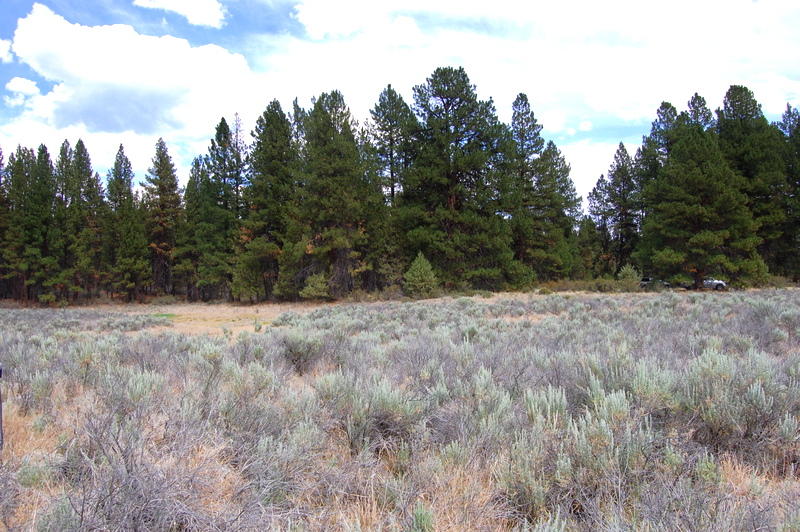 1900 Sprague River Road Chiloquin, OR 97624 - Photo 9 of 17 DSC_2219