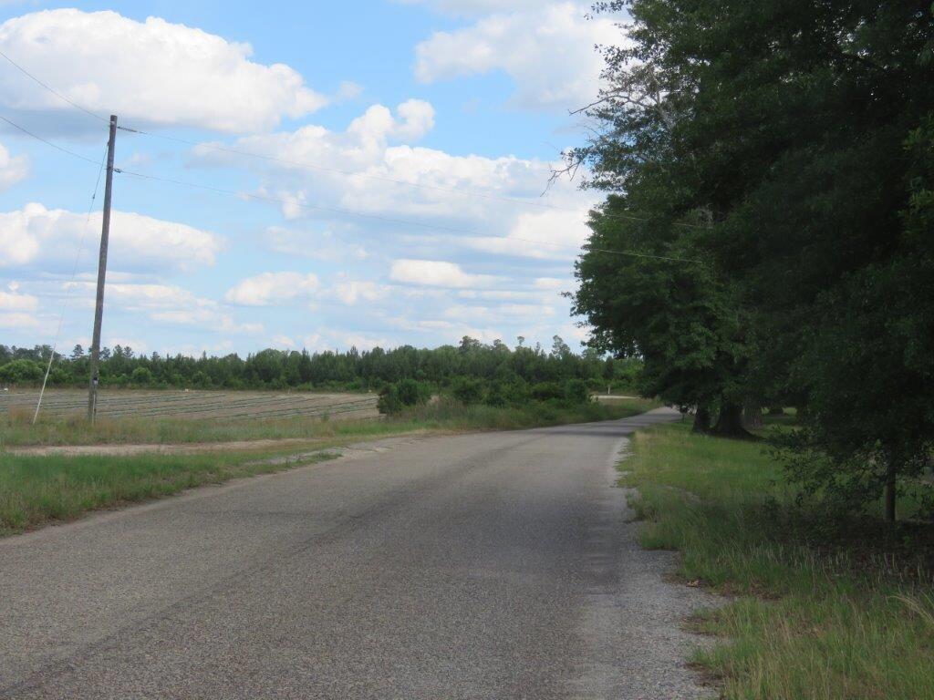 1252 Old Whiskey Road Barnwell, SC 29812 - Photo 11 of 14 47945_10