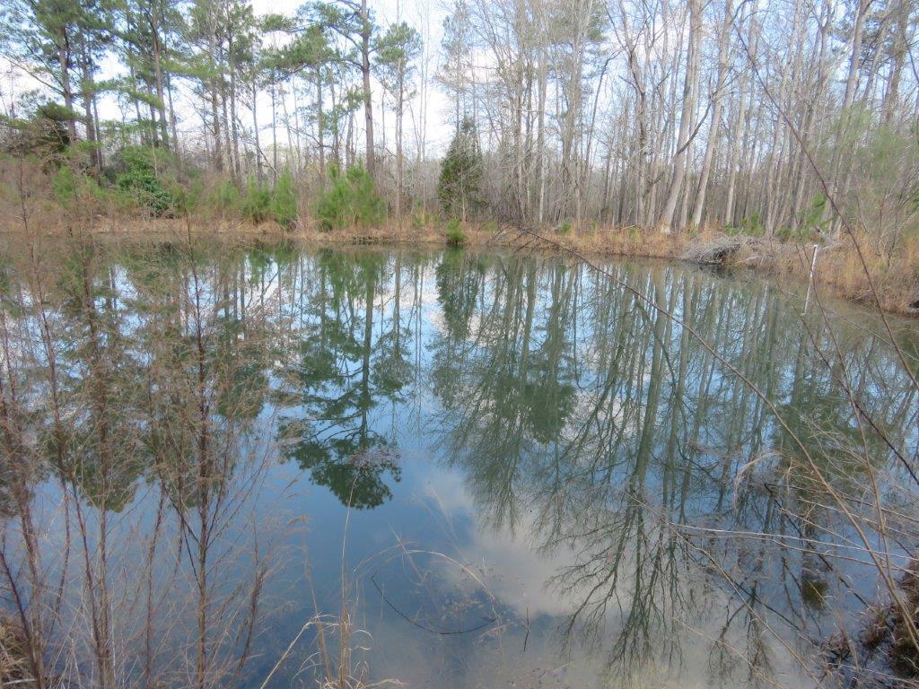 1252 Old Whiskey Road Barnwell, SC 29812 - Photo 14 of 14 47945_13