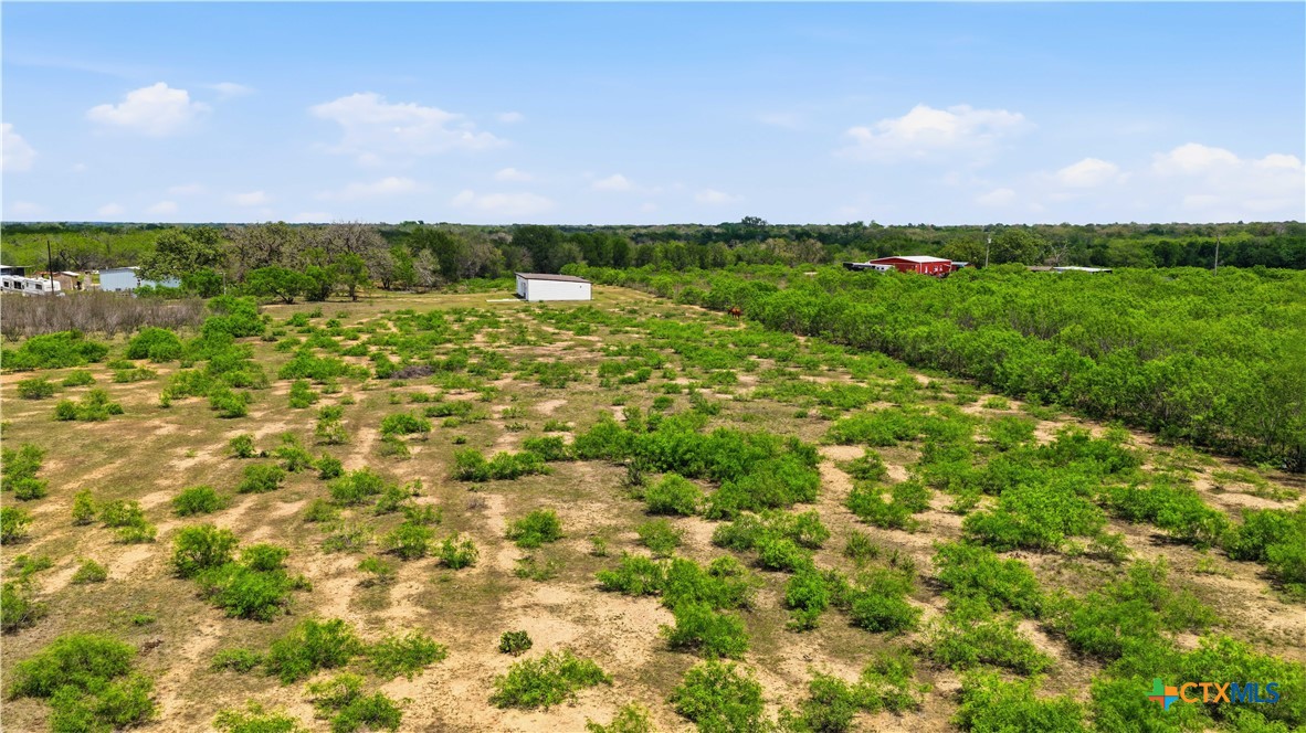 950 Highsmith Road Luling, TX 78648 - Photo 33 of 36 a view of a green field with lots of bushes
