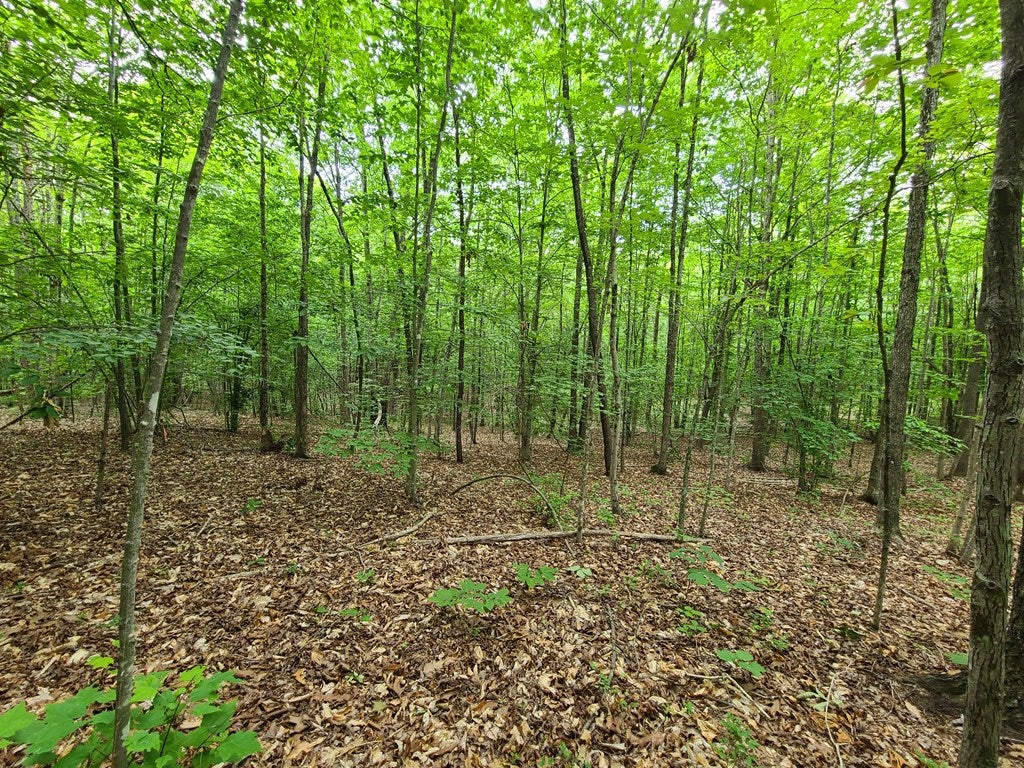 Knights View, Unit 10 Buckingham, VA 23921 - Photo 17 of 27 Gallery Image 17