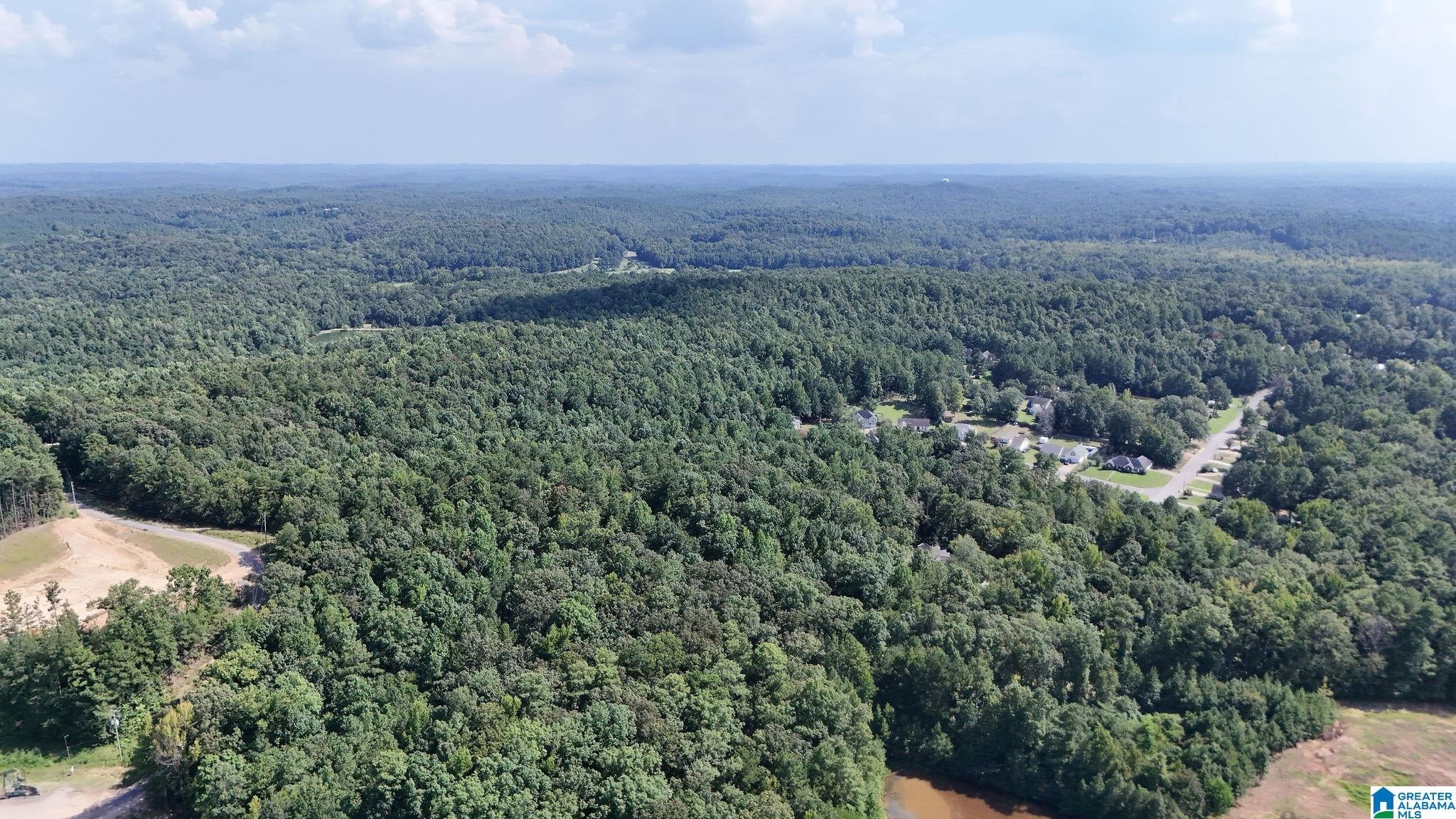 0 Clements Road Cottondale, AL 35453 - Photo 12 of 13 Gallery Image 12