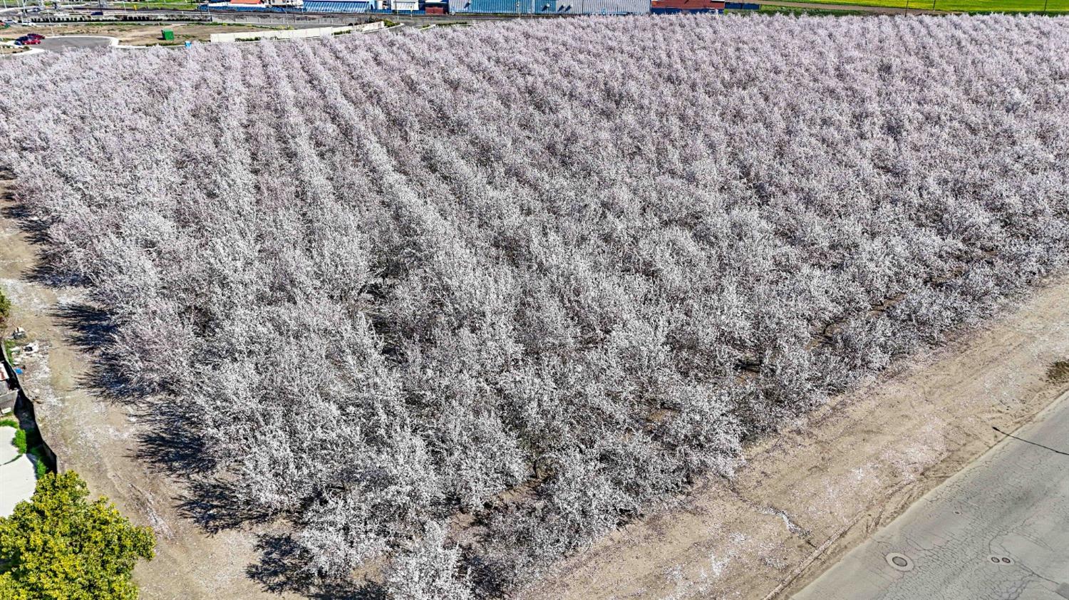 a close up of a wall