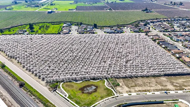 a view of a yard with wooden fence