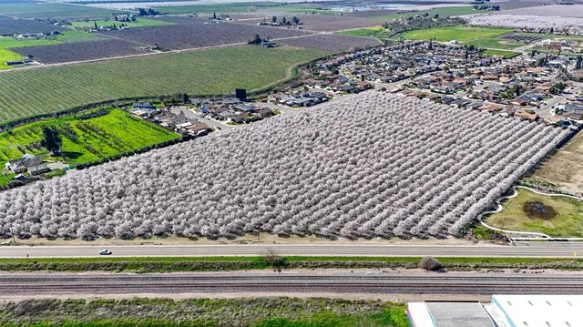 a view of a back yard of a building