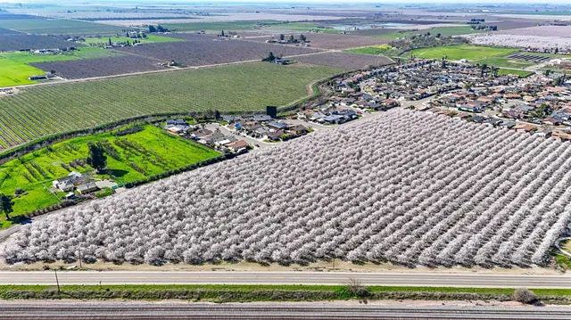 a view of a swimming pool with a garden