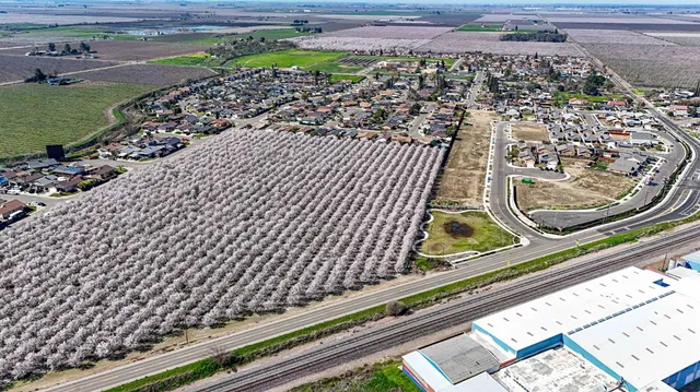a view of a yard with an outdoor space