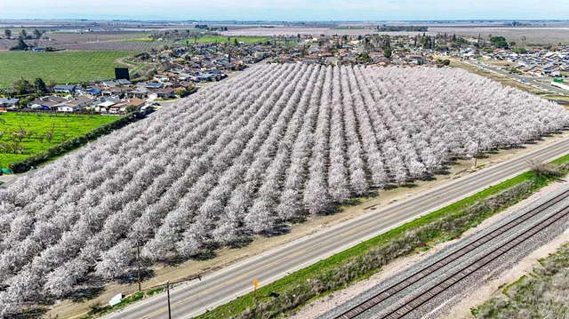 a view of a city skyline