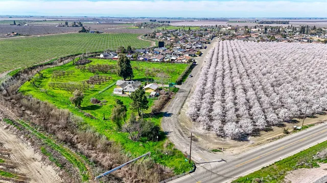 a close up of a plant