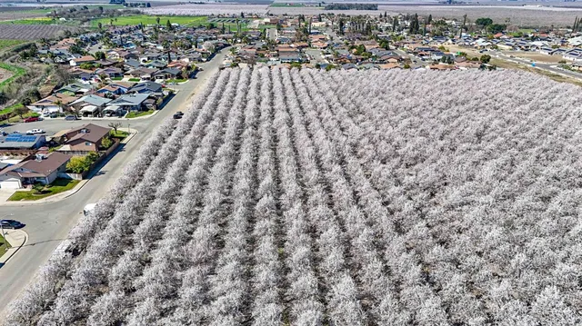 a view of outdoor space