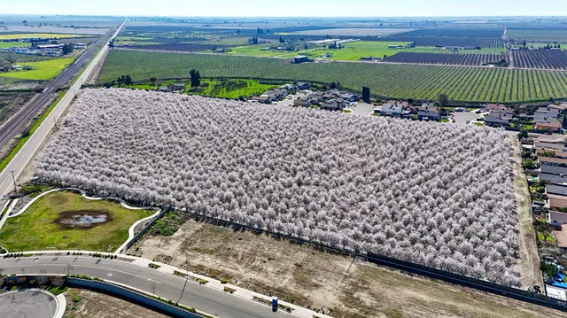 a view of a backyard with outdoor space