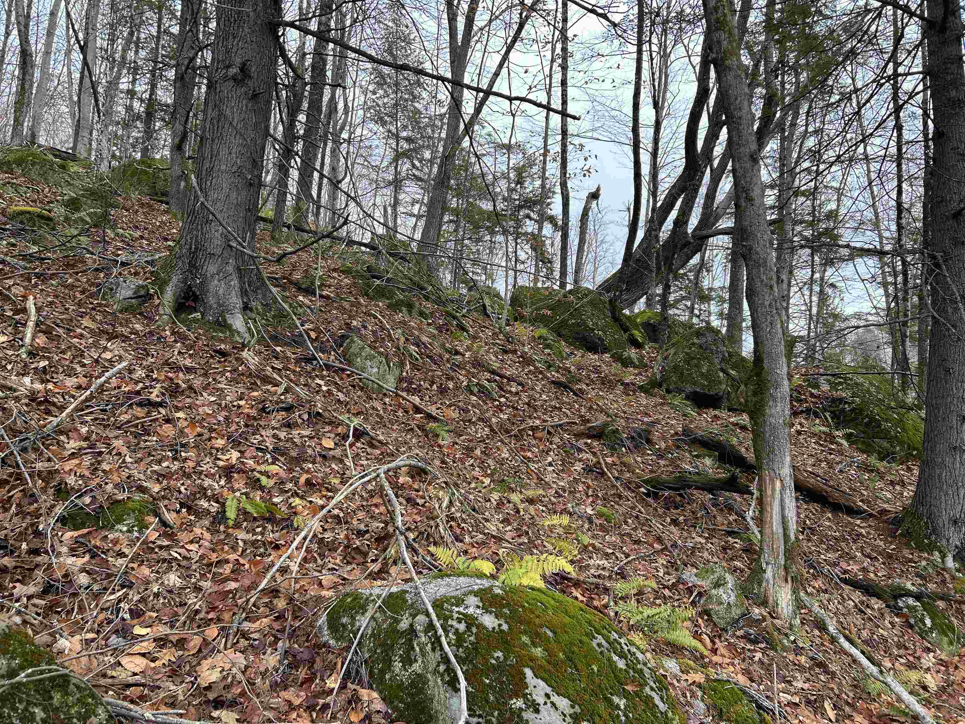 0 Pound Road North North Sutton, NH 03260 - Photo 15 of 51
