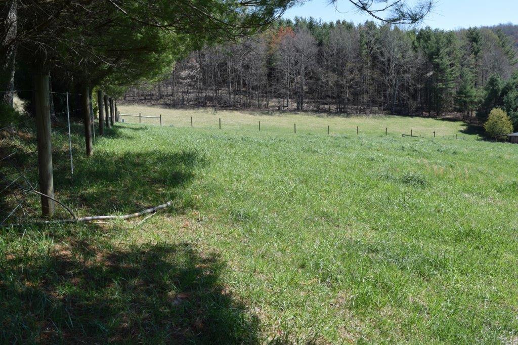 411 Halls Store Road Southwest Willis, VA 24380 - Photo 22 of 26 a view of a backyard