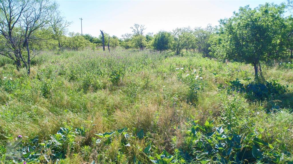 9533 Fm 617 Rochester, TX 79544 - Photo 19 of 25