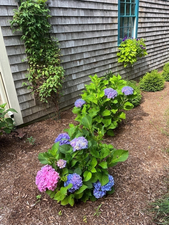3 Hoover Road Hingham, MA 02043 - Photo 10 of 24 Gallery Image 10